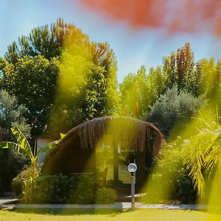 Turkuaz Guest house *